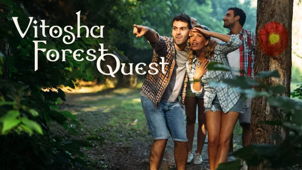 Интерактивна игра на открито Forest Quest