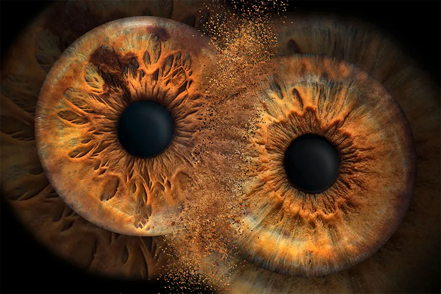 Картина от два ириса- ирисова фотография за двойки